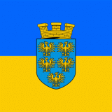 Logo NIEDERÖSTERREICHISCHER SKIBOB-VERBAND