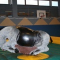 Sommertrainingskurs (563)