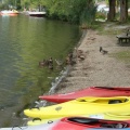Sommertrainingskurs (578)