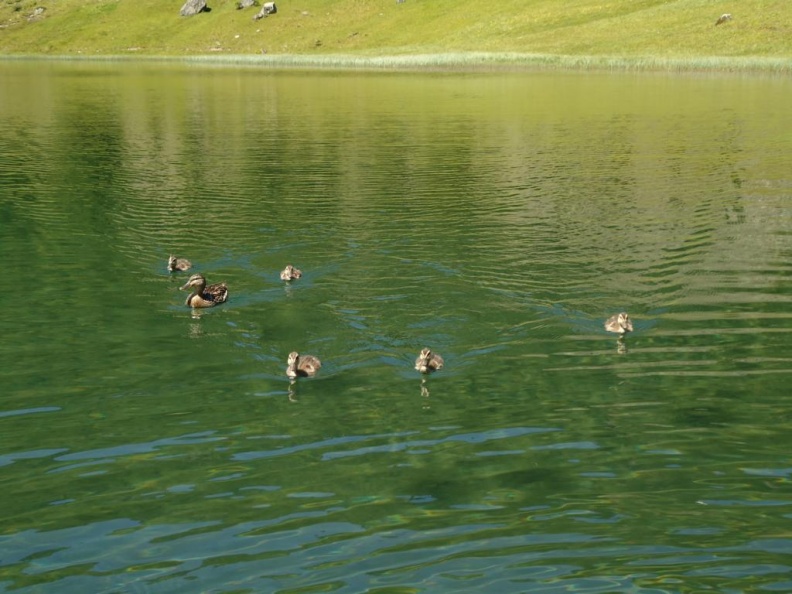 DSC07722.JPG
