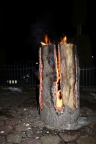 IMG 0519