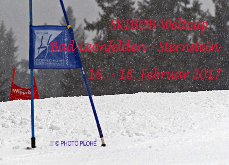 ©_PHOTO_PLOHE_7801_Riesenslalom.jpg