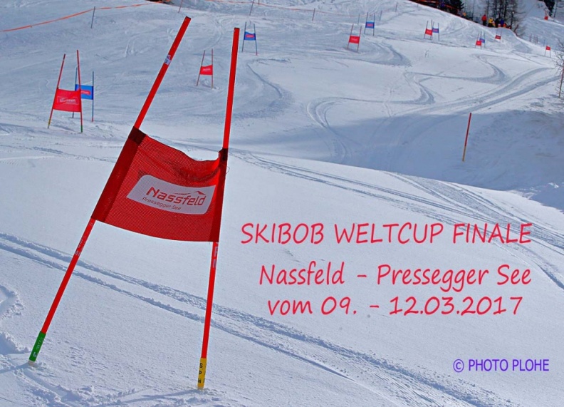 © PHOTO PLOHE 0941 Skibob Weltcup Finale Nassfeld Slalom