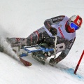 © PHOTO PLOHE 3527 PAGO Martin CZE SKIBOB KLUB Dobruska