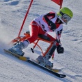© PHOTO PLOHE 5521 KNAUSS Jakob AUT SBC Haus