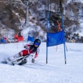 IMG-20241208-WA0033